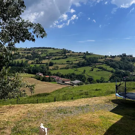 Maison Et Piscine Chauffee, Vue Monts Du Lyonnais * 布鲁良
